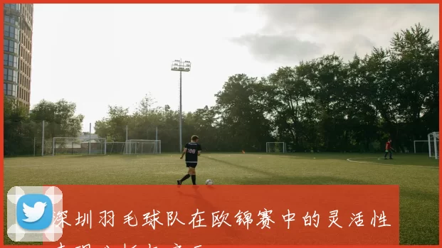 深圳羽毛球队在欧锦赛中的灵活性表现分析与启示